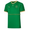 Original Fußballtrikot Palmeiras Copa Rio Heimtrikot 70th Jubiläum 2021-22 Für Herren